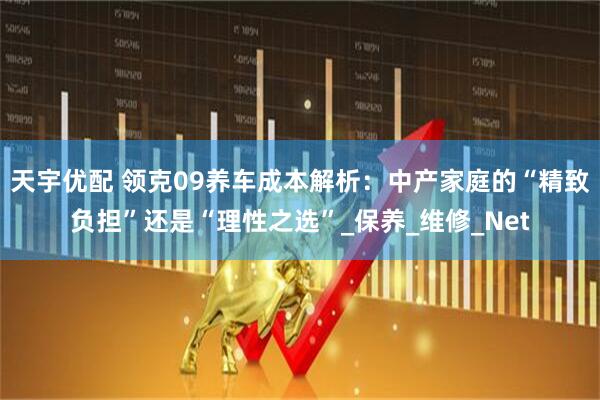 天宇优配 领克09养车成本解析：中产家庭的“精致负担”还是“理性之选”_保养_维修_Net