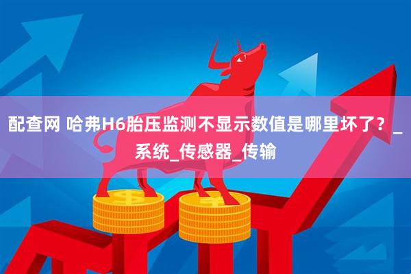 配查网 哈弗H6胎压监测不显示数值是哪里坏了？_系统_传感器_传输